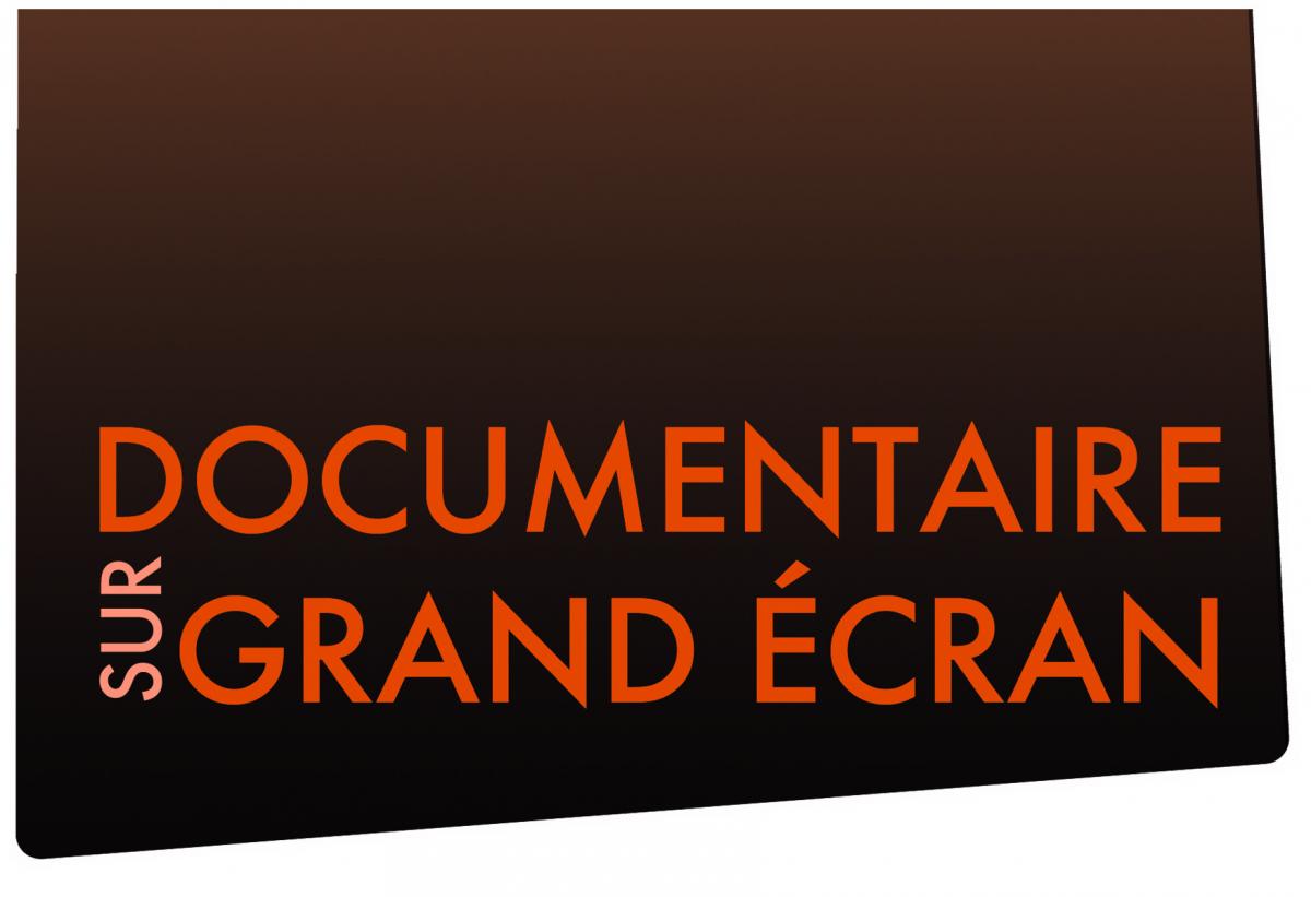doc_sur_grand_ecran